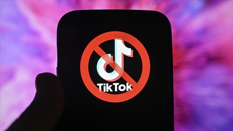 Digital Detox: Why Countries Are Banning Social Media