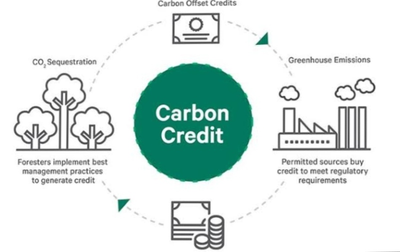 Unlocking Africa's Green Future: Climate Finance & Carbon Credits